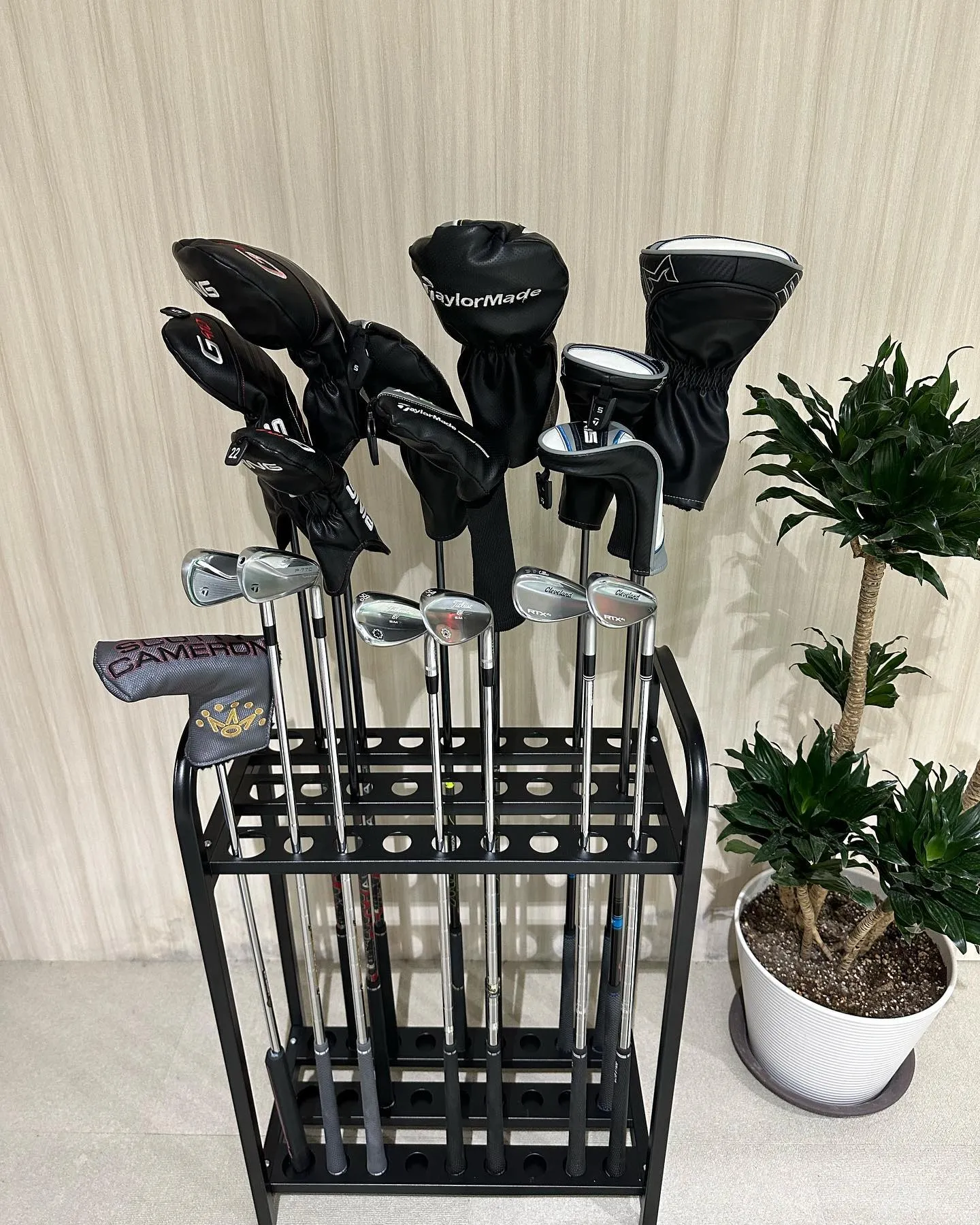 リニューアルのお祝いで頂きました🤩